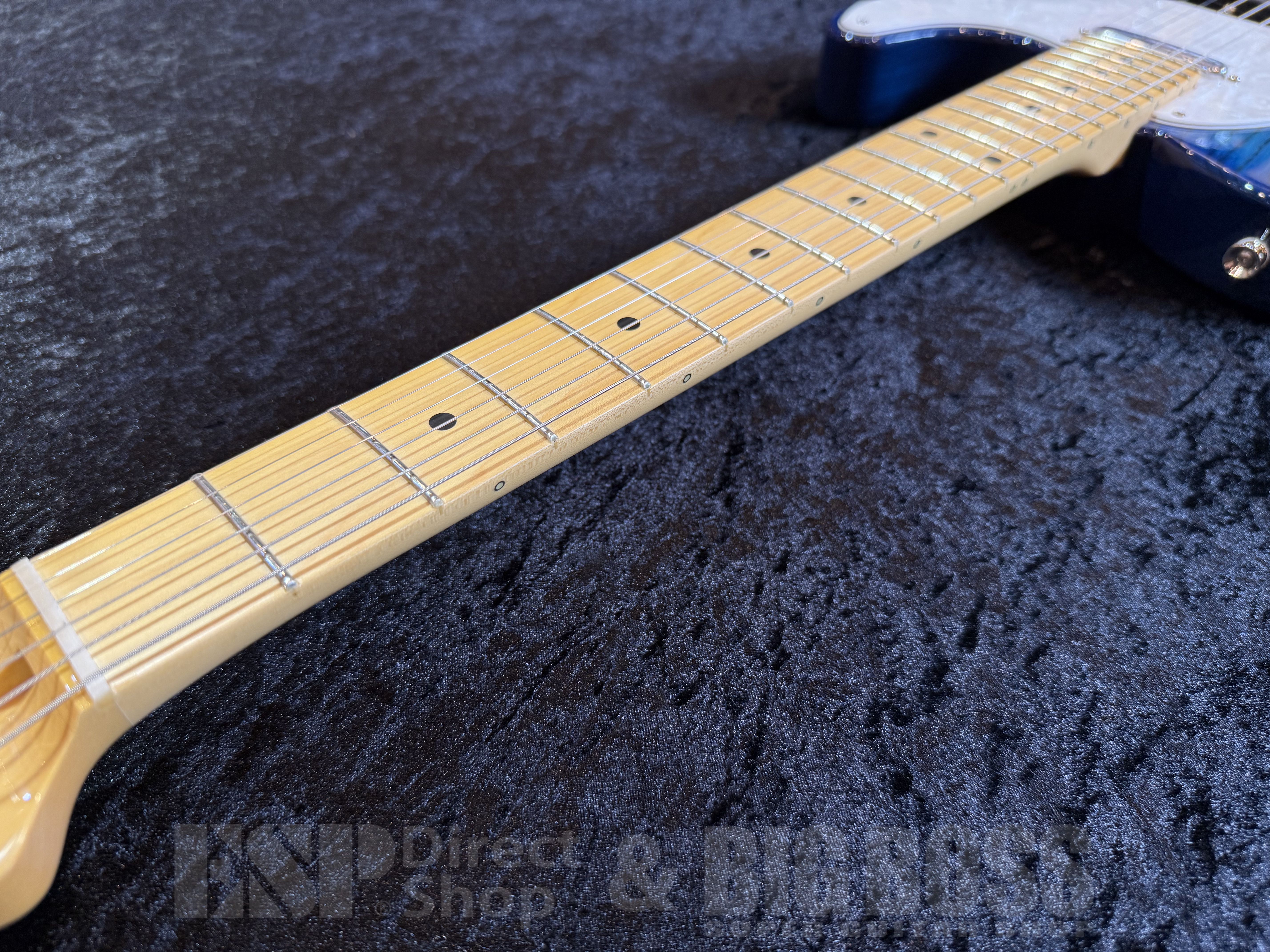 【即納可能】 FUJIGEN (フジゲン) NTE100MAH-SBB 福岡店