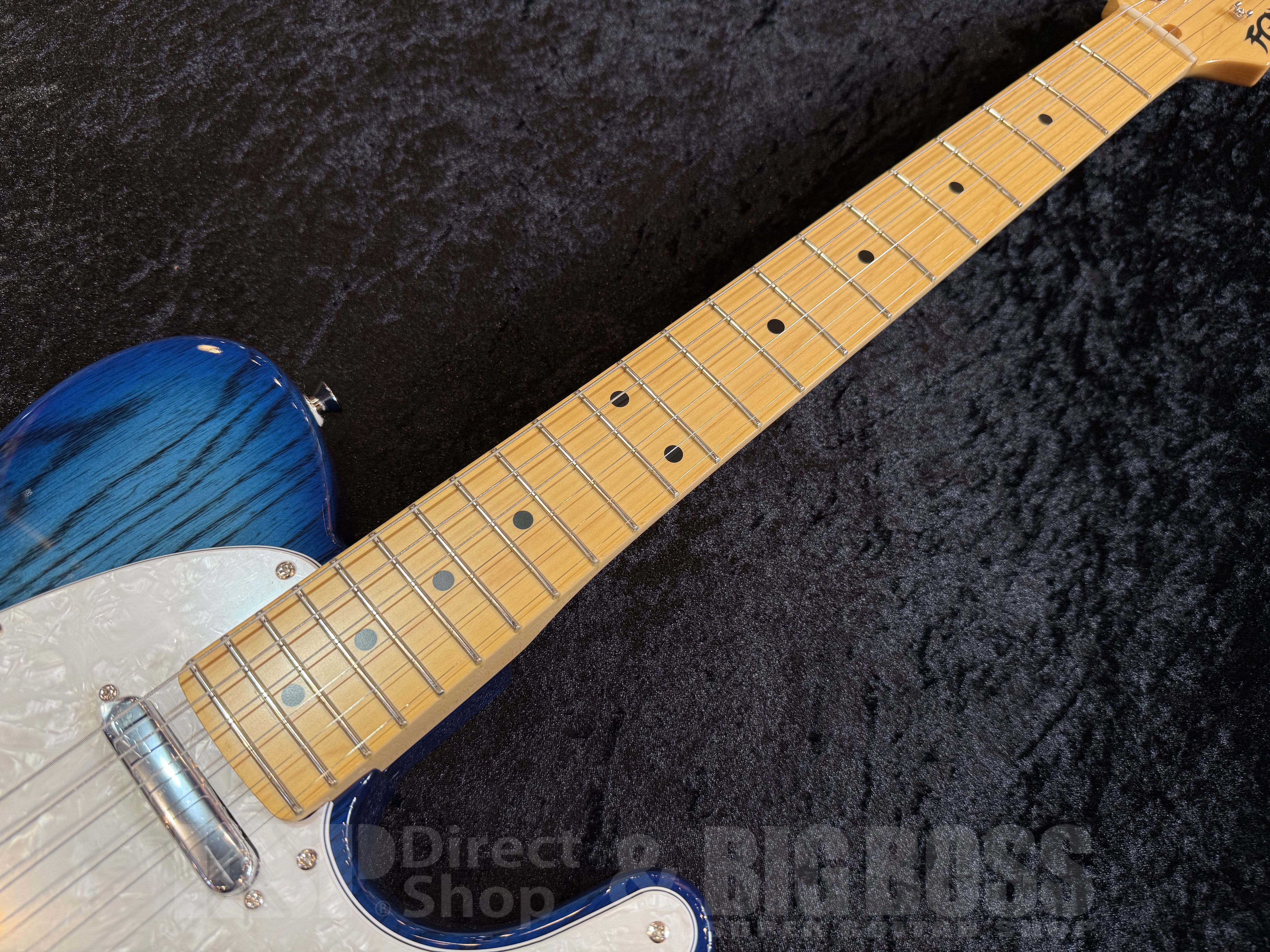 【即納可能】 FUJIGEN (フジゲン) NTE100MAH-SBB 福岡店