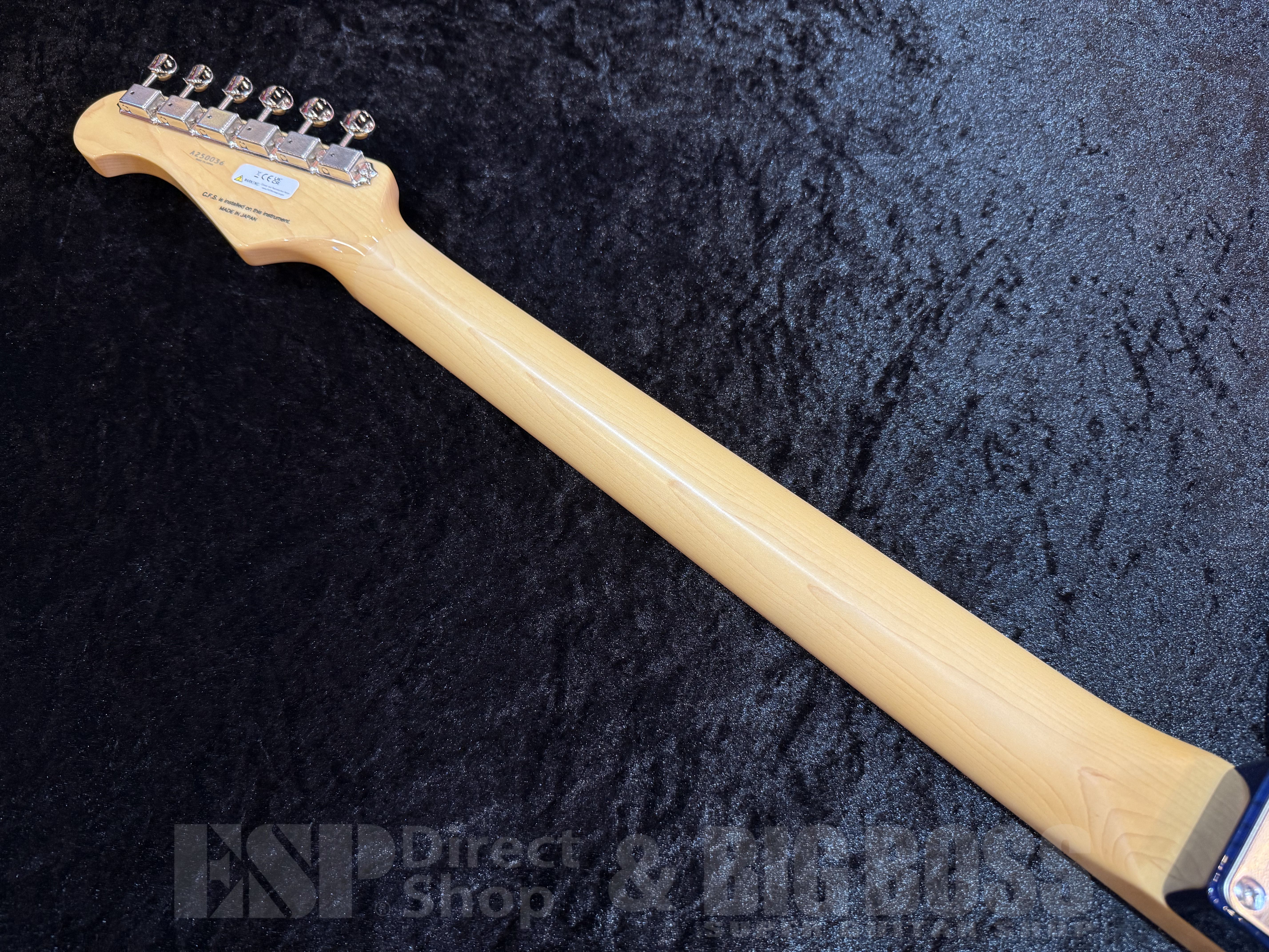 【即納可能】 FUJIGEN (フジゲン) NTE100MAH-SBB 福岡店