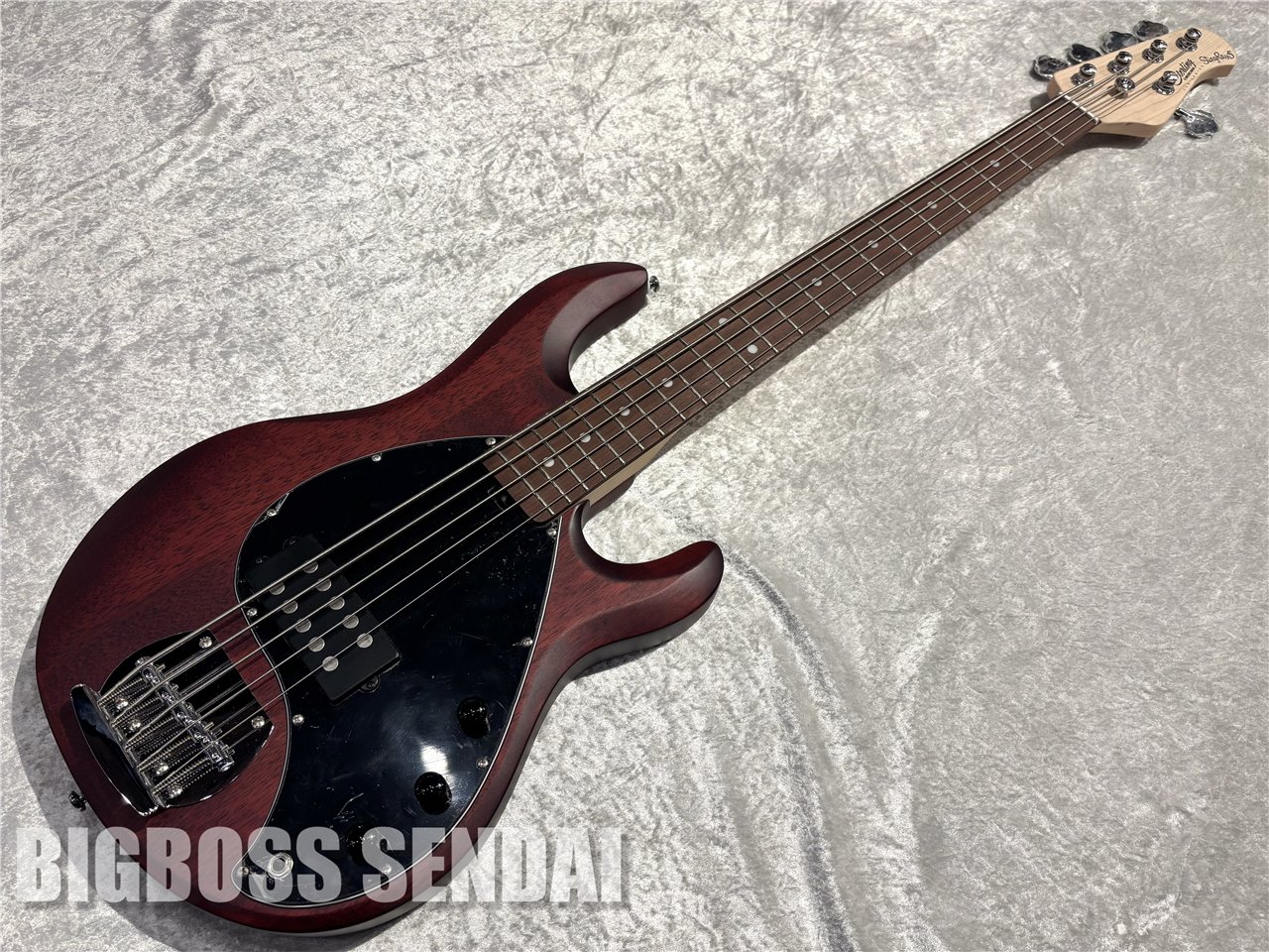 【即納可能】Sterling by MUSIC MAN Ray5/Walnut Satin 仙台店