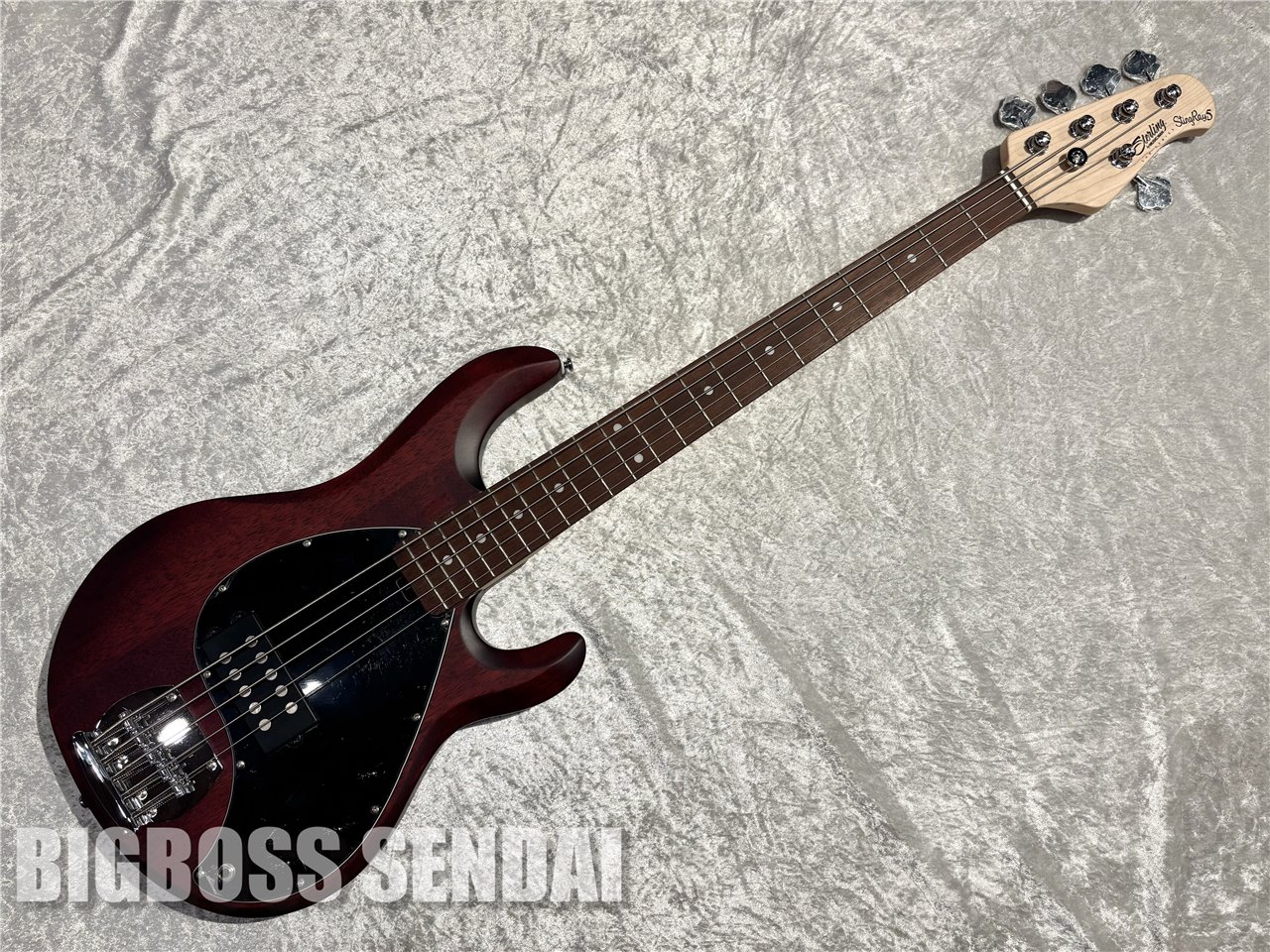 【即納可能】Sterling by MUSIC MAN Ray5/Walnut Satin 仙台店