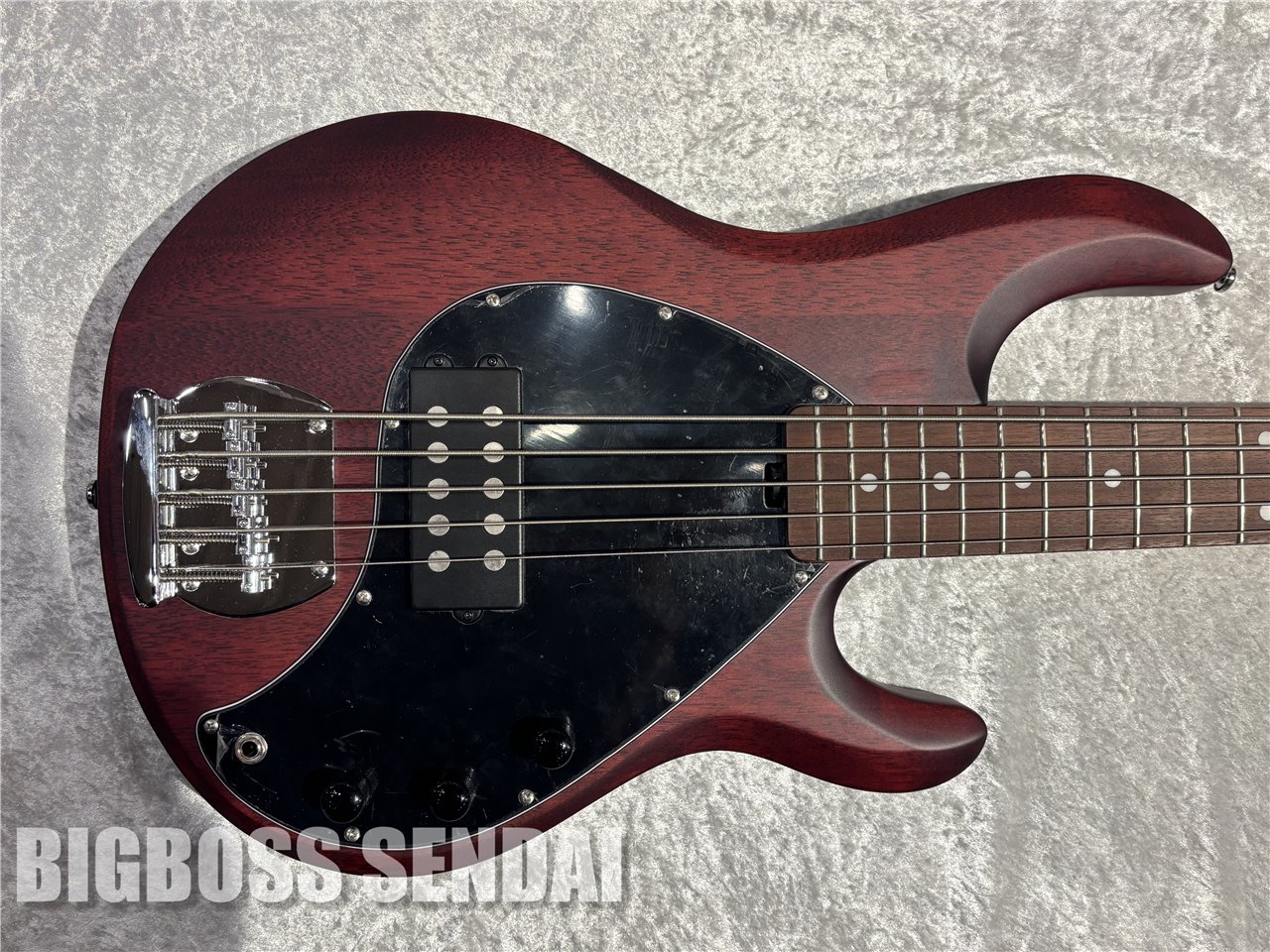 【即納可能】Sterling by MUSIC MAN Ray5/Walnut Satin 仙台店