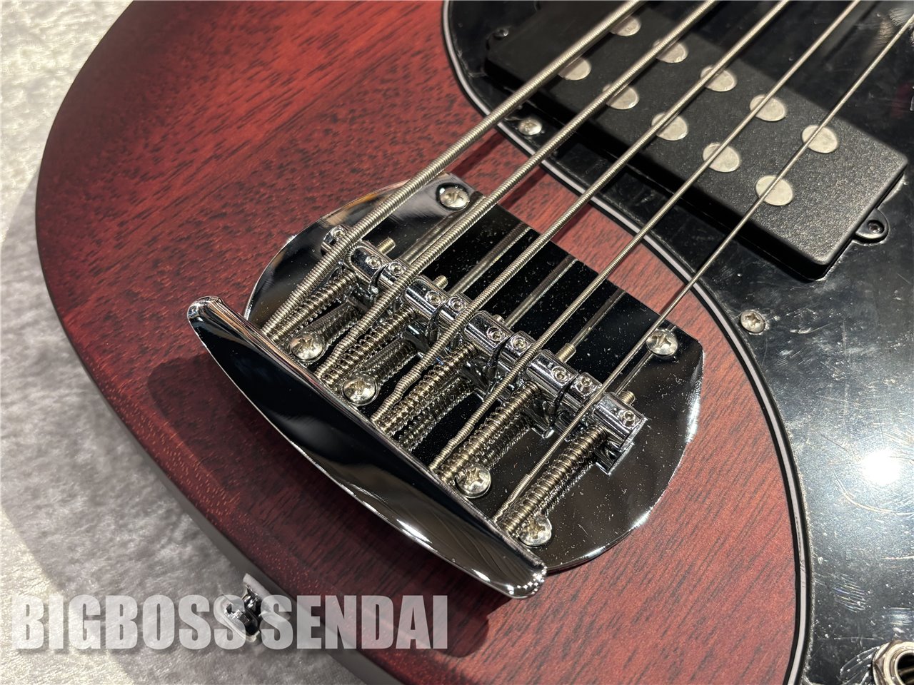 【即納可能】Sterling by MUSIC MAN Ray5/Walnut Satin 仙台店