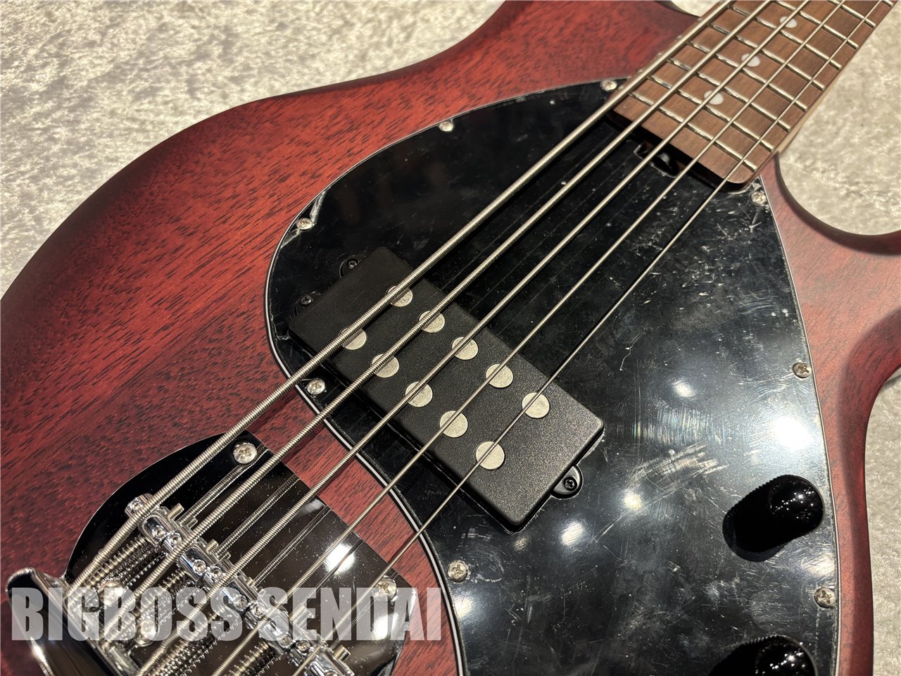 【即納可能】Sterling by MUSIC MAN Ray5/Walnut Satin 仙台店