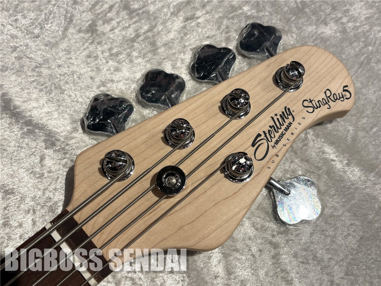 【即納可能】Sterling by MUSIC MAN Ray5/Walnut Satin 仙台店