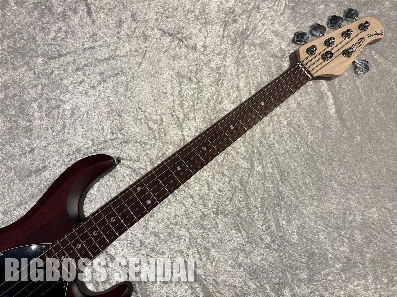 【即納可能】Sterling by MUSIC MAN Ray5/Walnut Satin 仙台店