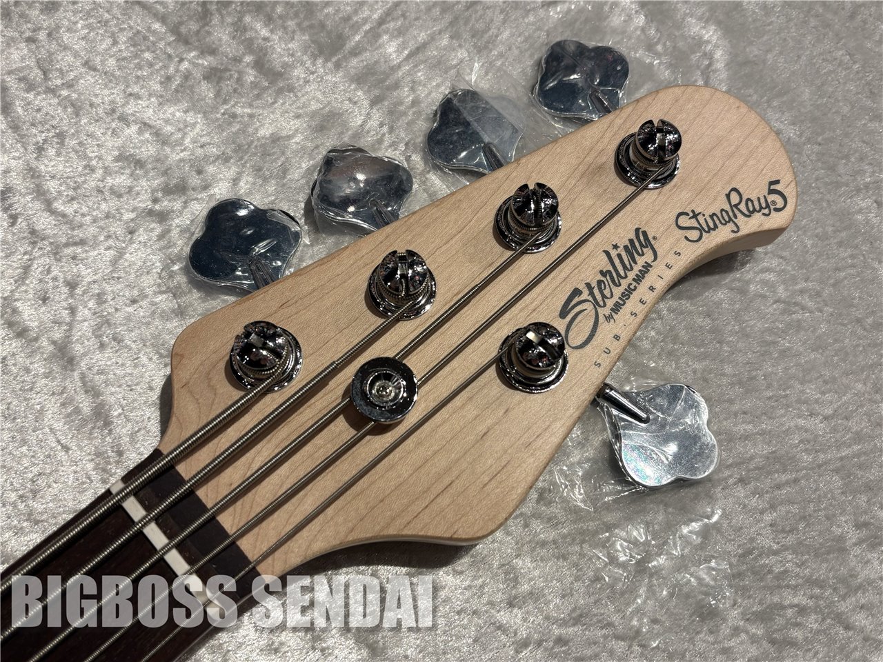 【即納可能】Sterling by MUSIC MAN Ray5/Trans Blue Satin 仙台店