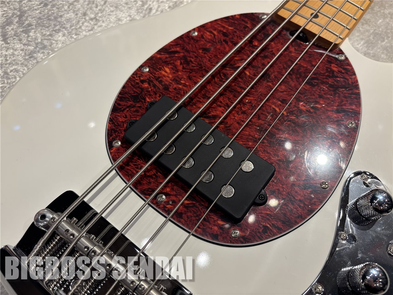 【即納可能】Sterling by MUSIC MAN Ray25CA #Olympic White/Maple 仙台店