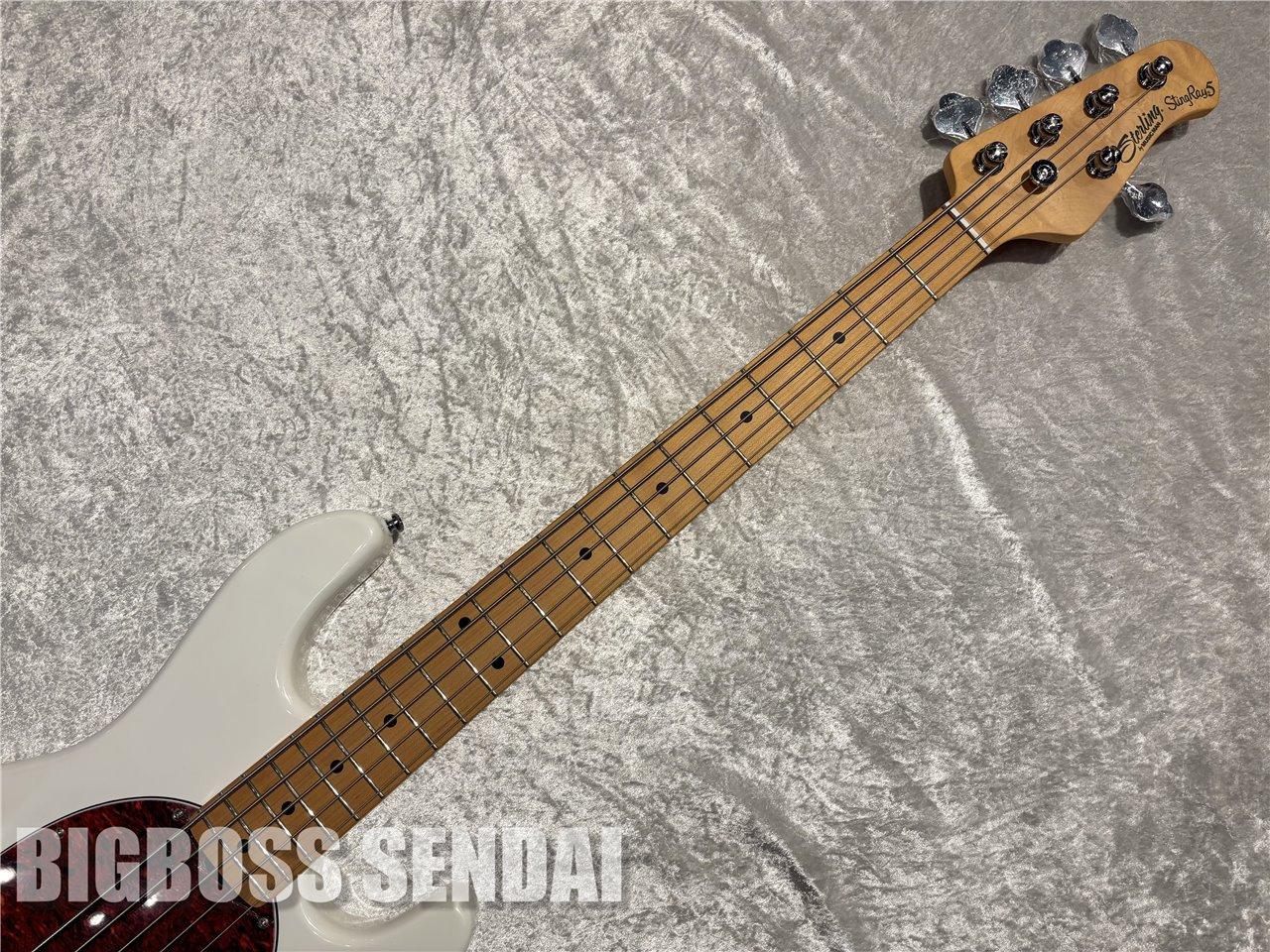 【即納可能】Sterling by MUSIC MAN Ray25CA #Olympic White/Maple 仙台店