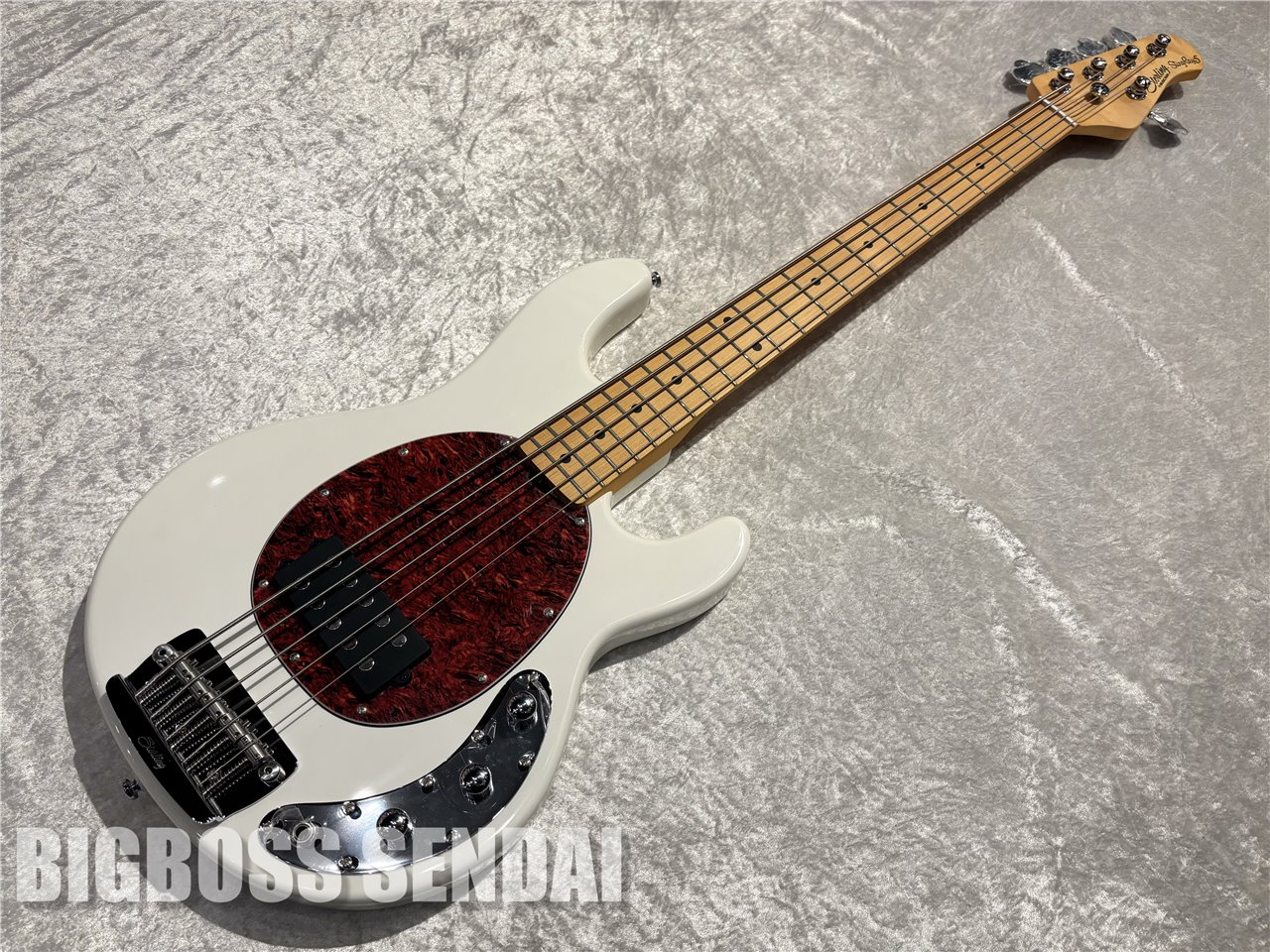 【即納可能】Sterling by MUSIC MAN Ray25CA #Olympic White/Maple 仙台店