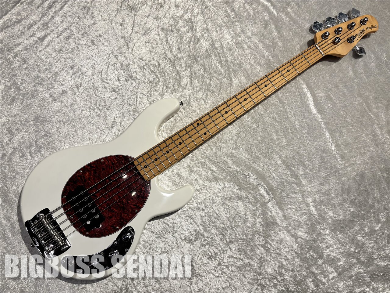 【即納可能】Sterling by MUSIC MAN Ray25CA #Olympic White/Maple 仙台店