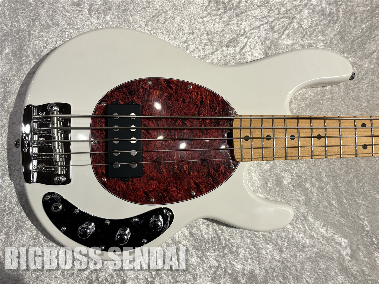 【即納可能】Sterling by MUSIC MAN Ray25CA #Olympic White/Maple 仙台店