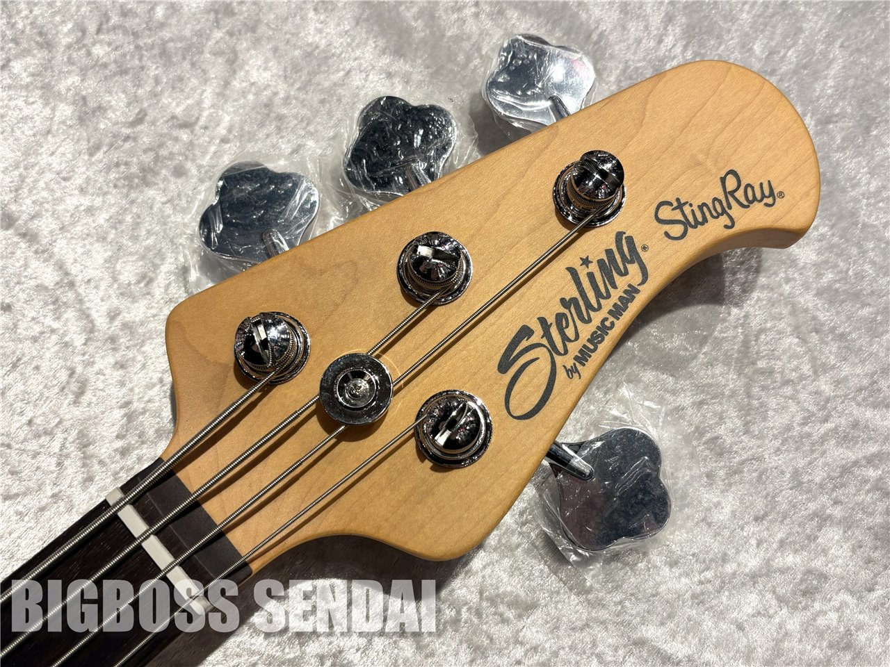 【即納可能】Sterling by MUSIC MAN Ray24CA #Toluca Lake Blue/Rosewood 仙台店