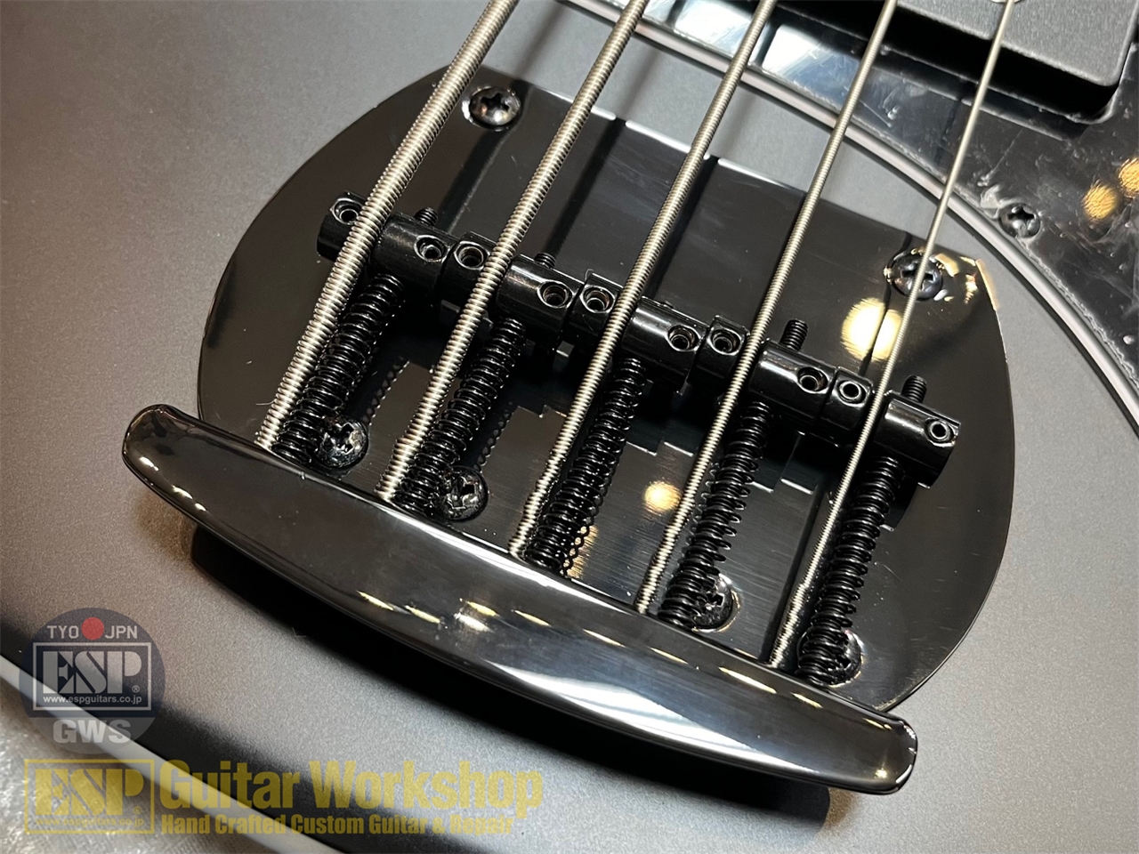 【即納可能】Sterling by MUSIC MAN SUB Series Ray5HH /Stealth Black GWS