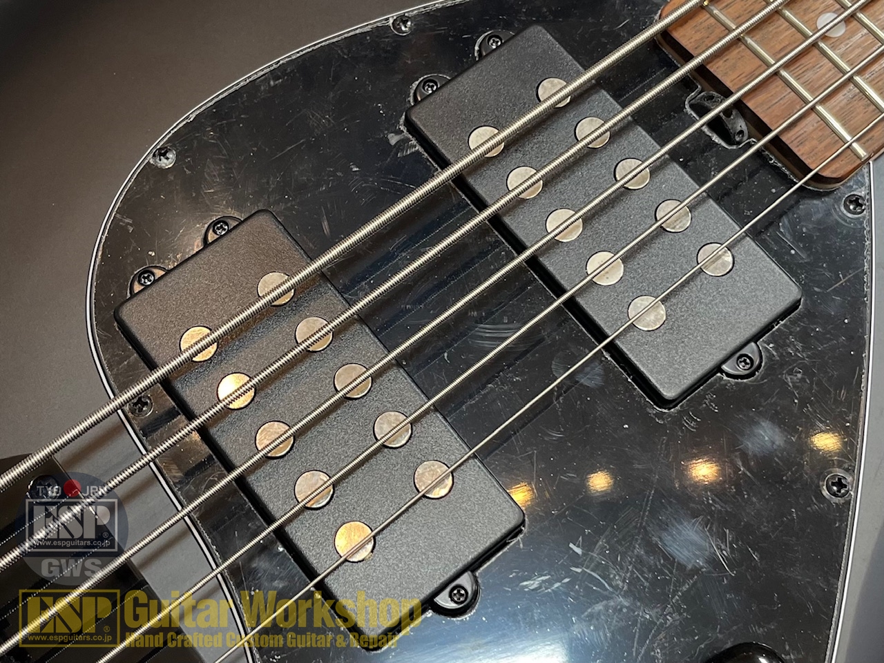 【即納可能】Sterling by MUSIC MAN SUB Series Ray5HH /Stealth Black GWS