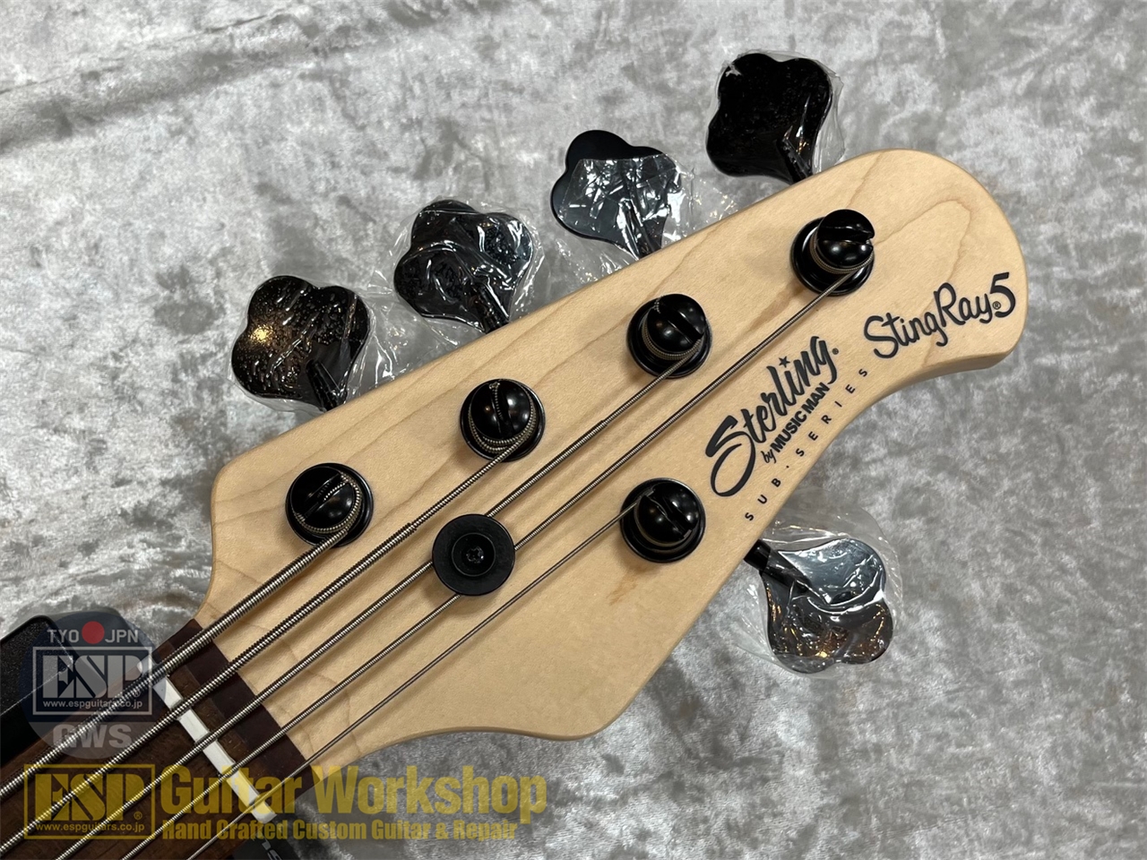 【即納可能】Sterling by MUSIC MAN SUB Series Ray5HH /Stealth Black GWS