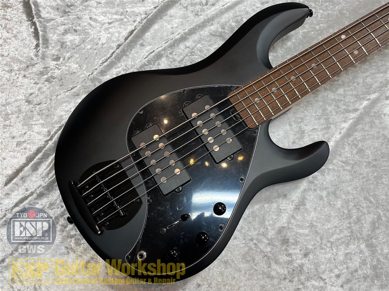 【即納可能】Sterling by MUSIC MAN SUB Series Ray5HH /Stealth Black GWS