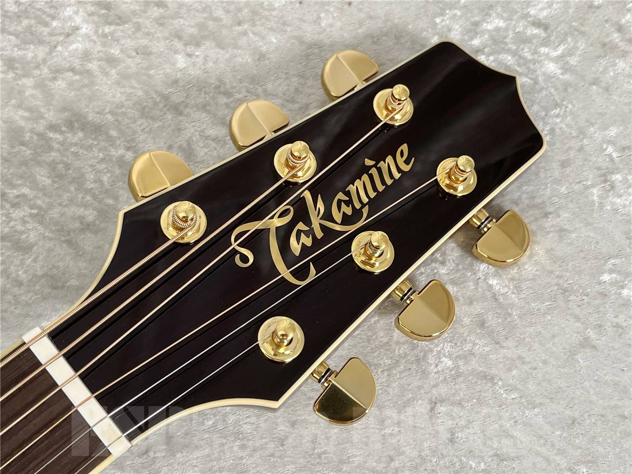 【即納可能】Takamine(タカミネ) DMP551C WR (エレアコ) お茶の水駅前店・別館