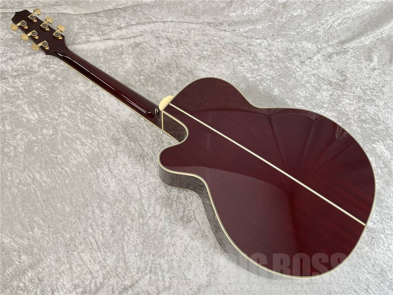 【即納可能】Takamine(タカミネ) DMP551C WR (エレアコ) お茶の水駅前店・別館