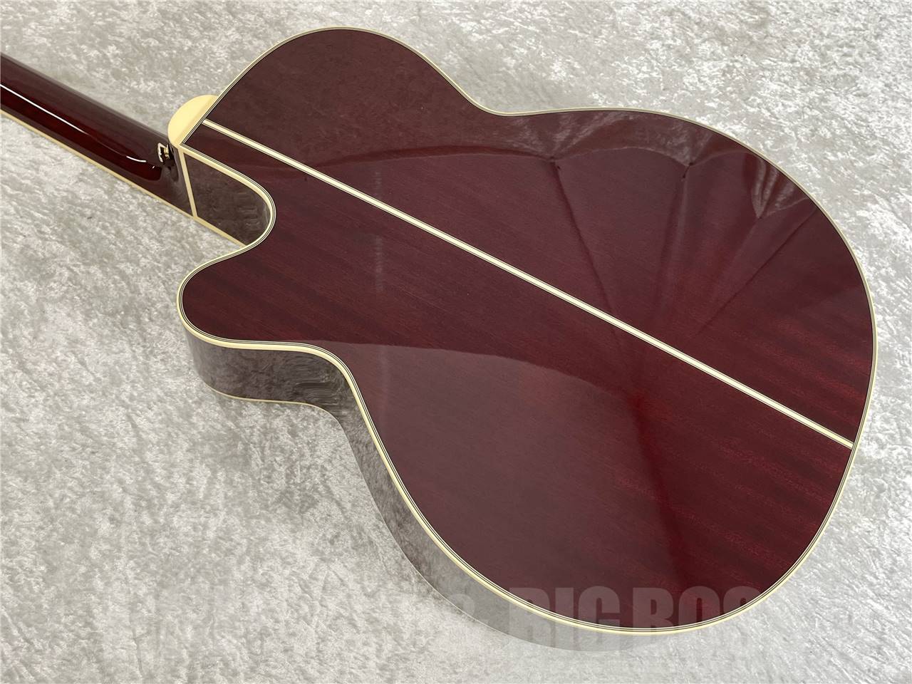 【即納可能】Takamine(タカミネ) DMP551C WR (エレアコ) お茶の水駅前店・別館