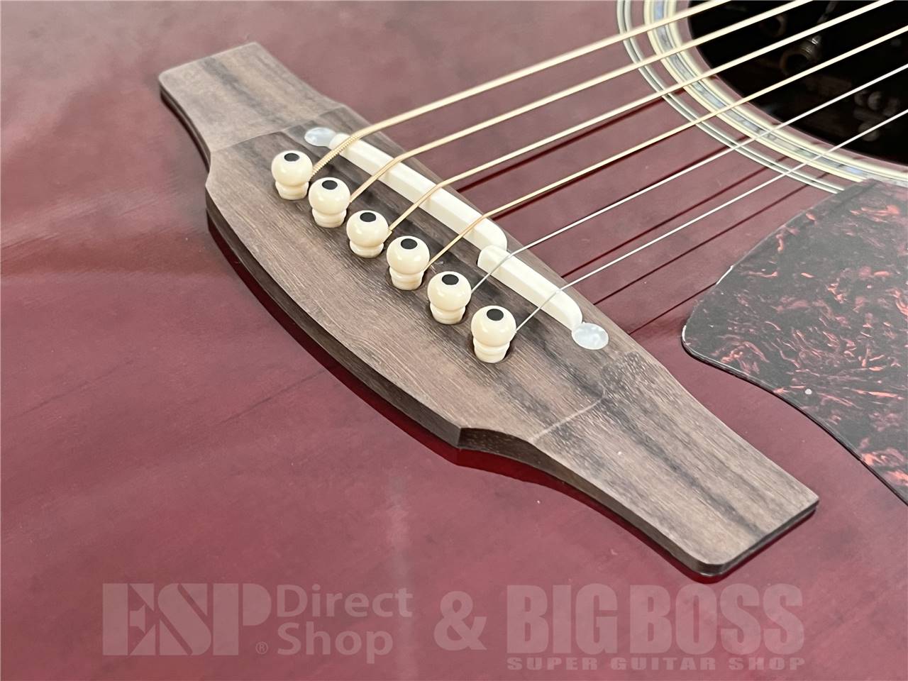 【即納可能】Takamine(タカミネ) DMP551C WR (エレアコ) お茶の水駅前店・別館