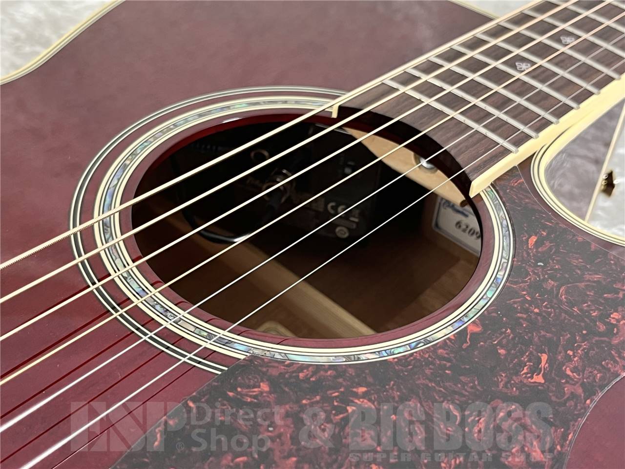 【即納可能】Takamine(タカミネ) DMP551C WR (エレアコ) お茶の水駅前店・別館