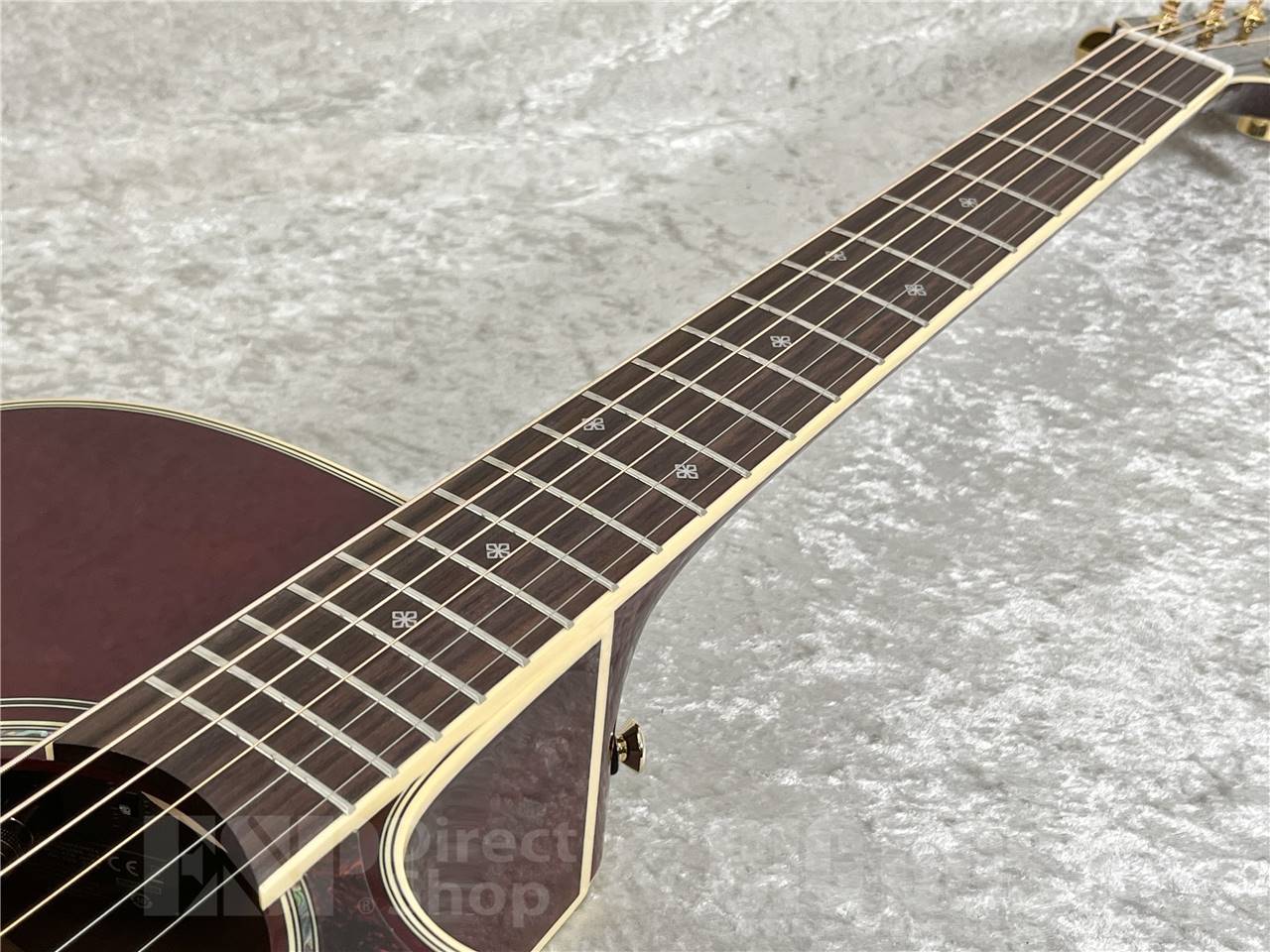 【即納可能】Takamine(タカミネ) DMP551C WR (エレアコ) お茶の水駅前店・別館