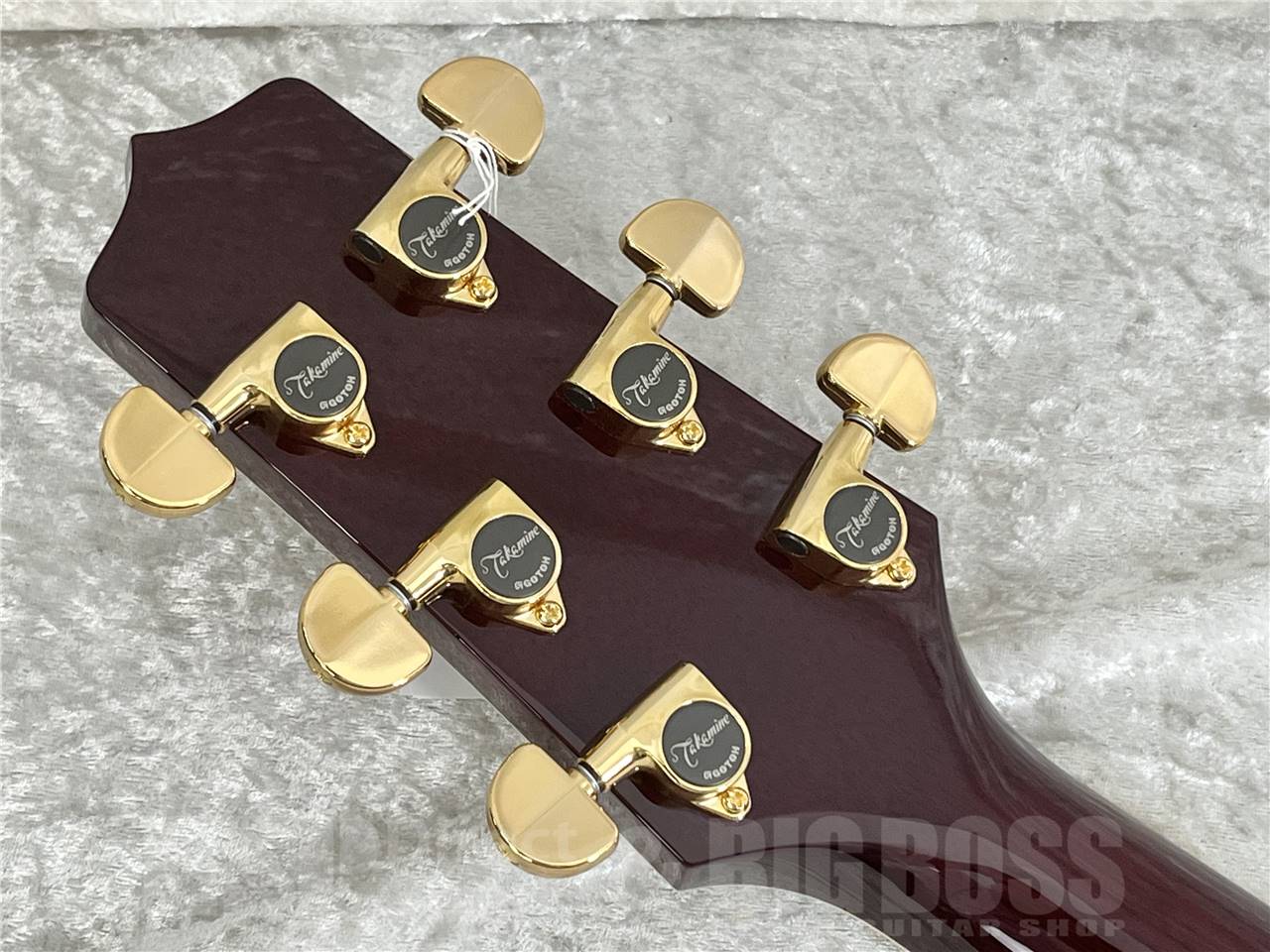 【即納可能】Takamine(タカミネ) DMP551C WR (エレアコ) お茶の水駅前店・別館