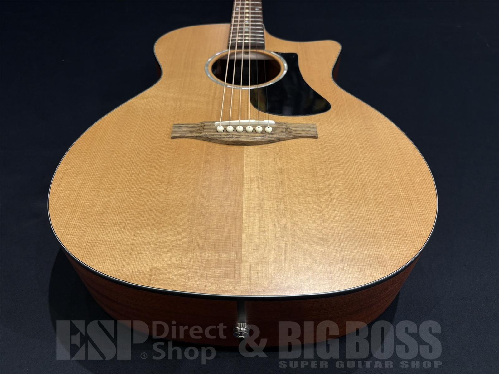 【即納可能】Eastman(イーストマン) PCH1-GACE 京都店 - 7