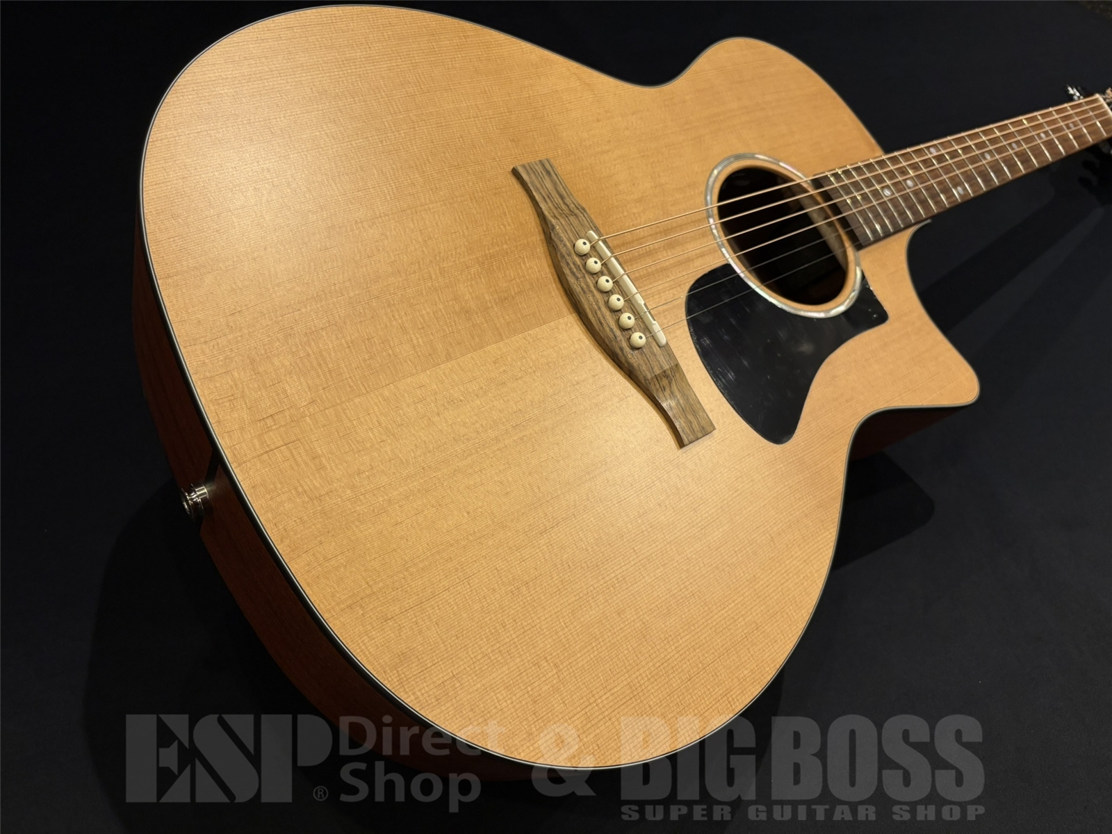 【即納可能】Eastman(イーストマン) PCH1-GACE 京都店 - 2