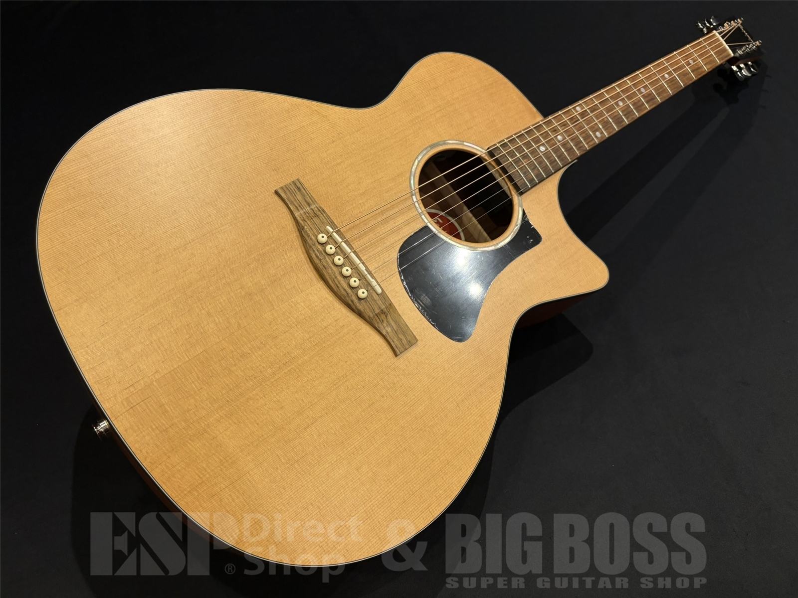【即納可能】Eastman(イーストマン) PCH1-GACE 京都店