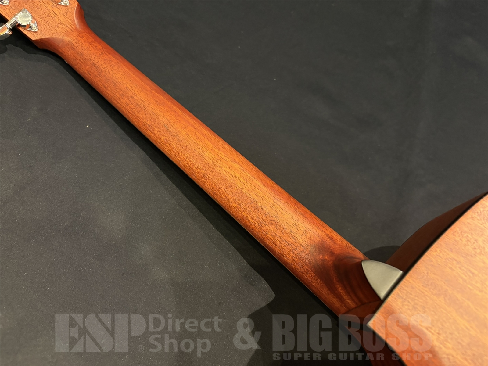 【即納可能】Eastman (イーストマン) PCH1-GACE-CLA 京都店 - 10