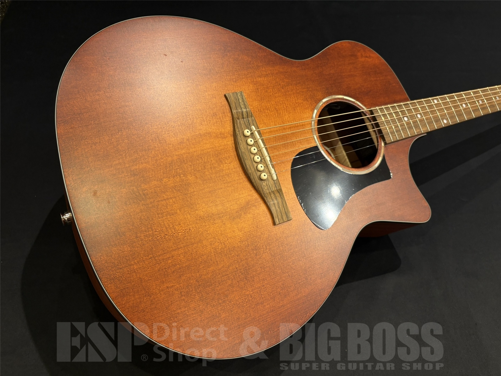 【即納可能】Eastman (イーストマン) PCH1-GACE-CLA 京都店 - 2