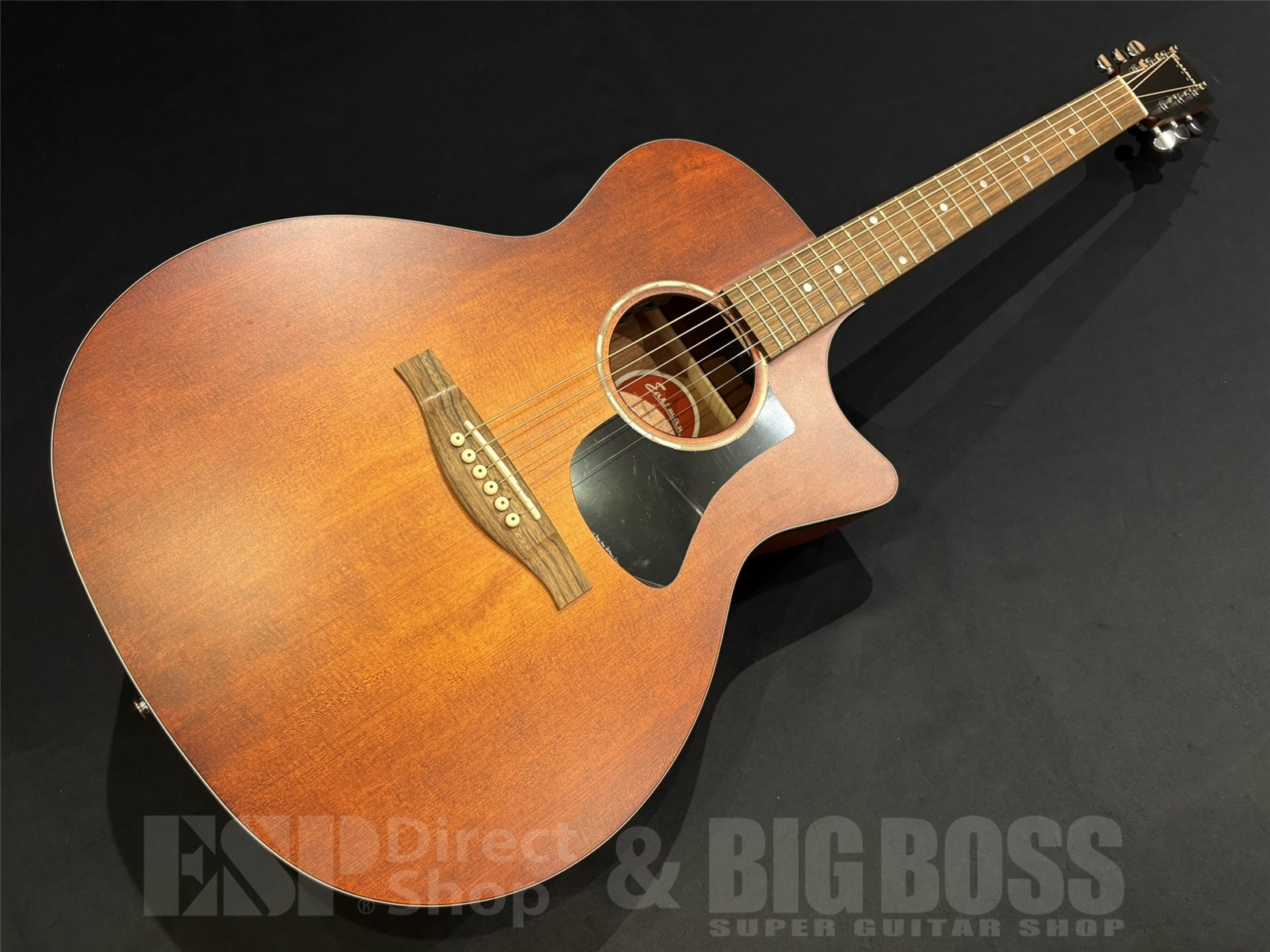 【即納可能】Eastman (イーストマン) PCH1-GACE-CLA 京都店