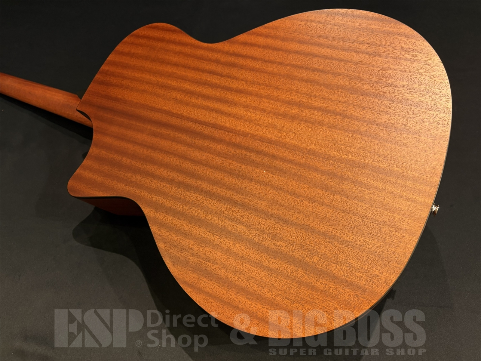 【即納可能】Eastman (イーストマン) PCH1-GACE-CLA 京都店 - 9