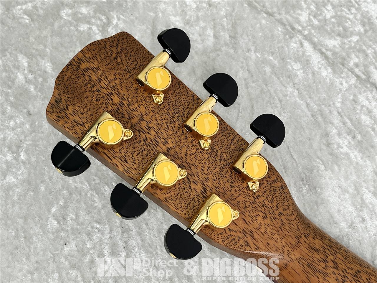 【即納可能】Morris(モーリス) S-91III S SERIES (アコースティックギター) お茶の水駅前店・別館 - 10