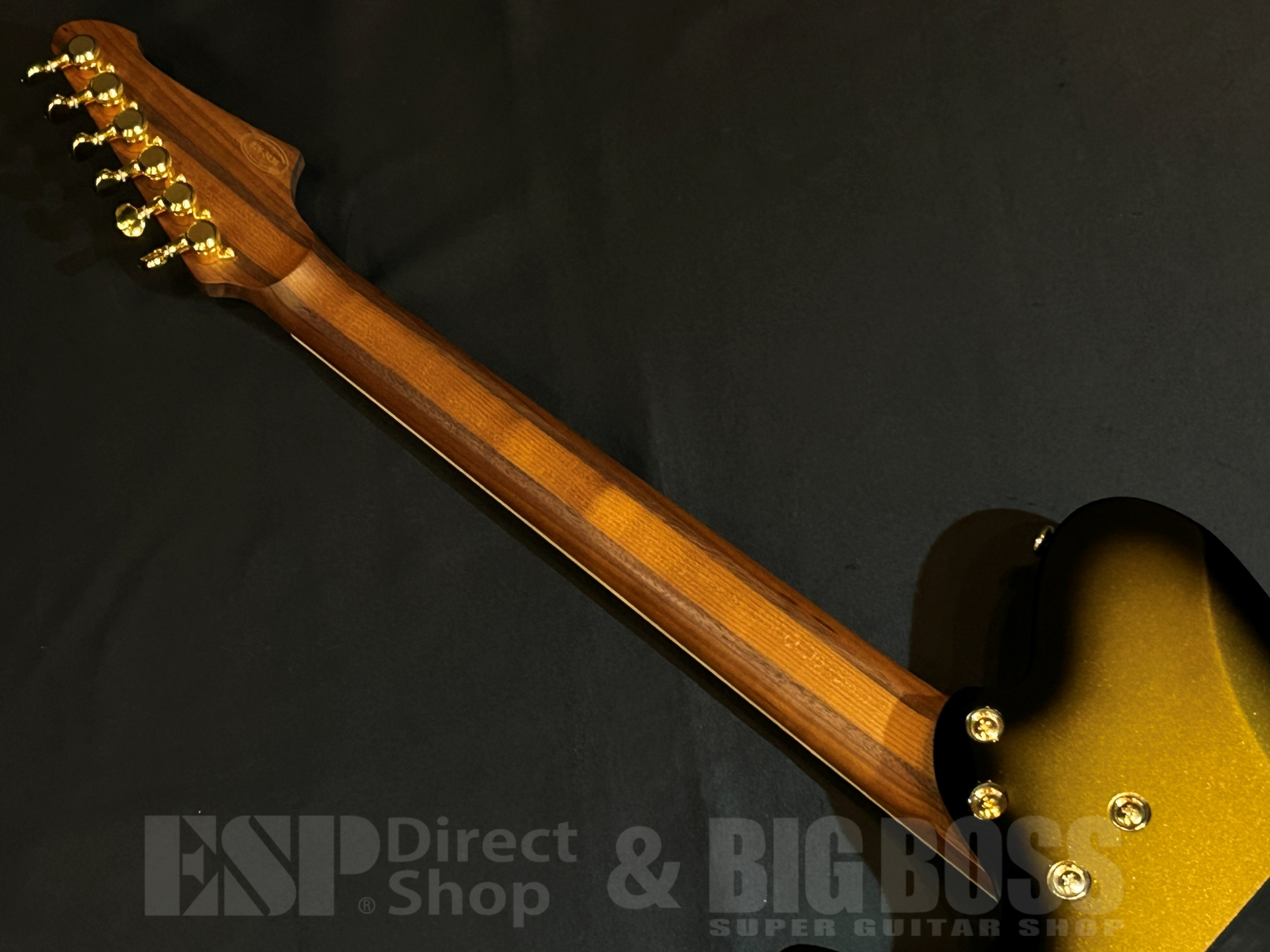 【即納可能】Balaguer Guitars Thicket TM / Gloss Metallic Goldburst (Travis Miguel Signature Model) 大阪店 - 7