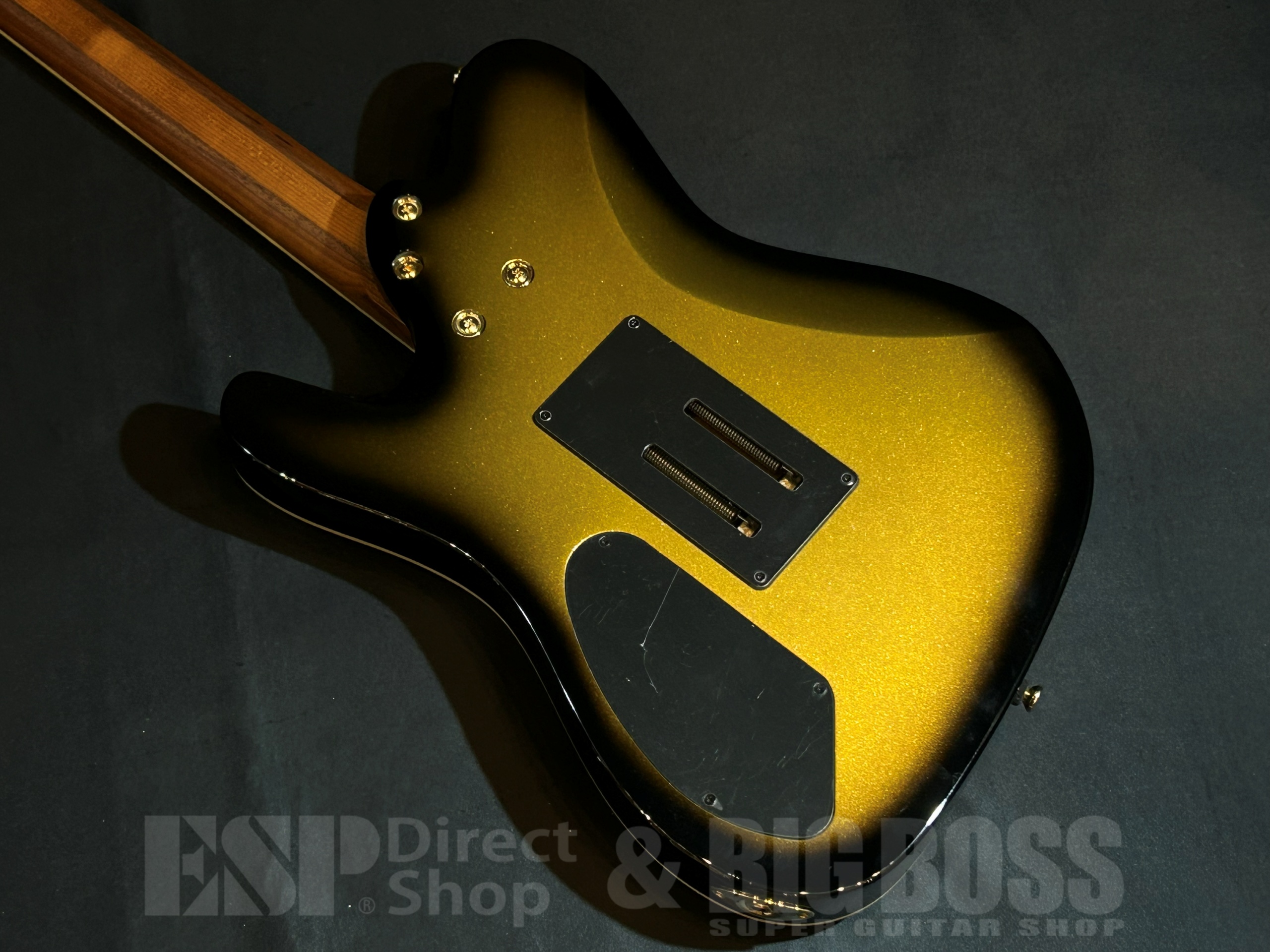 【即納可能】Balaguer Guitars Thicket TM / Gloss Metallic Goldburst (Travis Miguel Signature Model) 大阪店 - 6