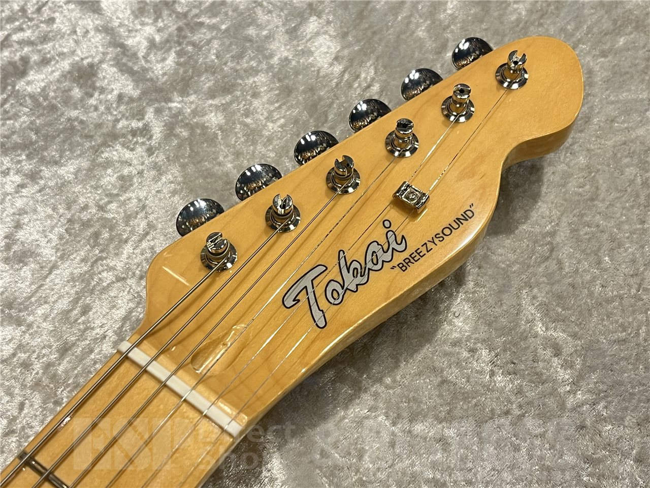【即納可能】Tokai（トーカイ）ATE-101-THN（Vintage Natural）　名古屋店 - 5
