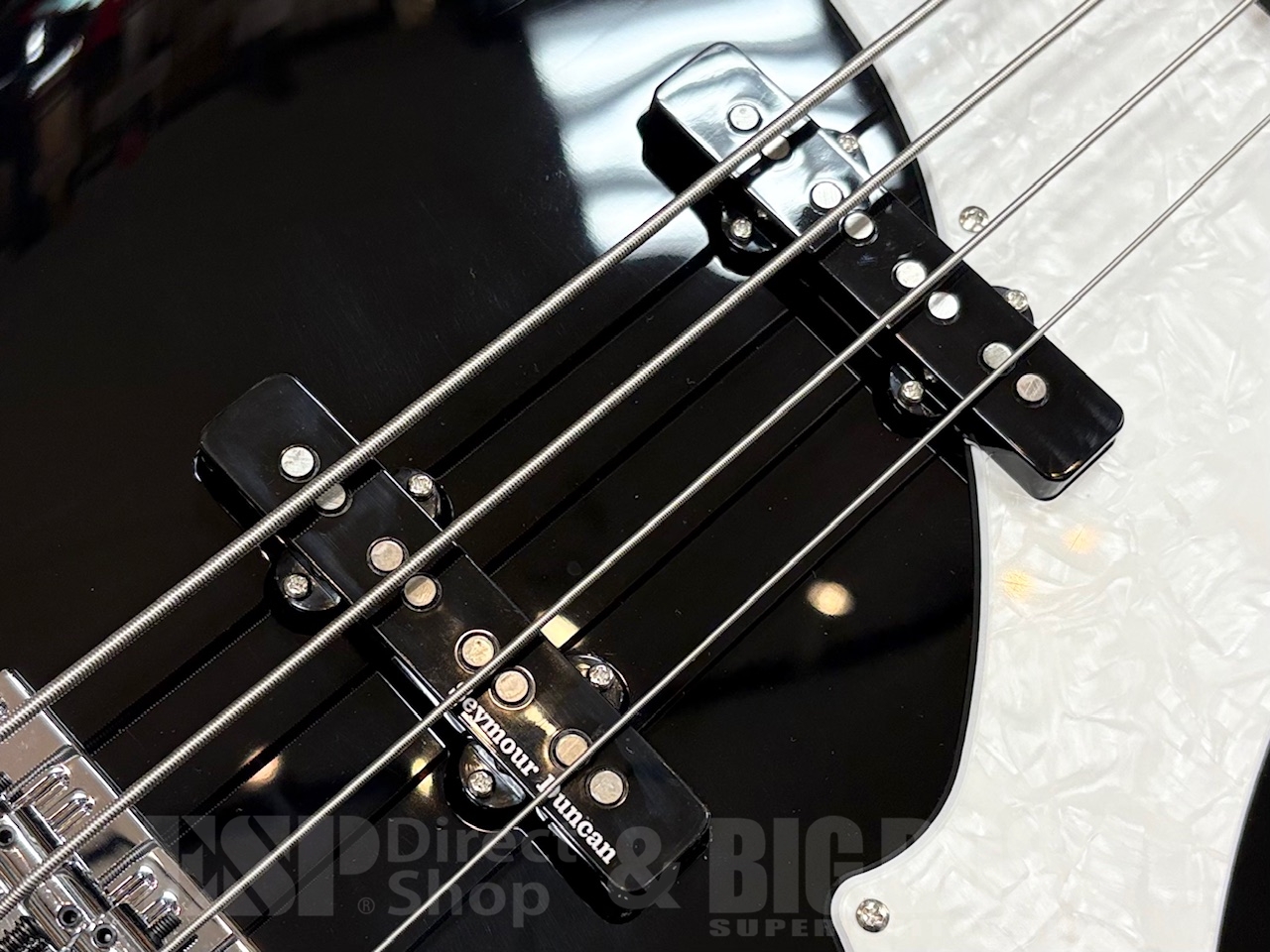 【即納可能】EDWARDS(エドワーズ) E-RF / Black (the GazettE/REITAモデル) GWS