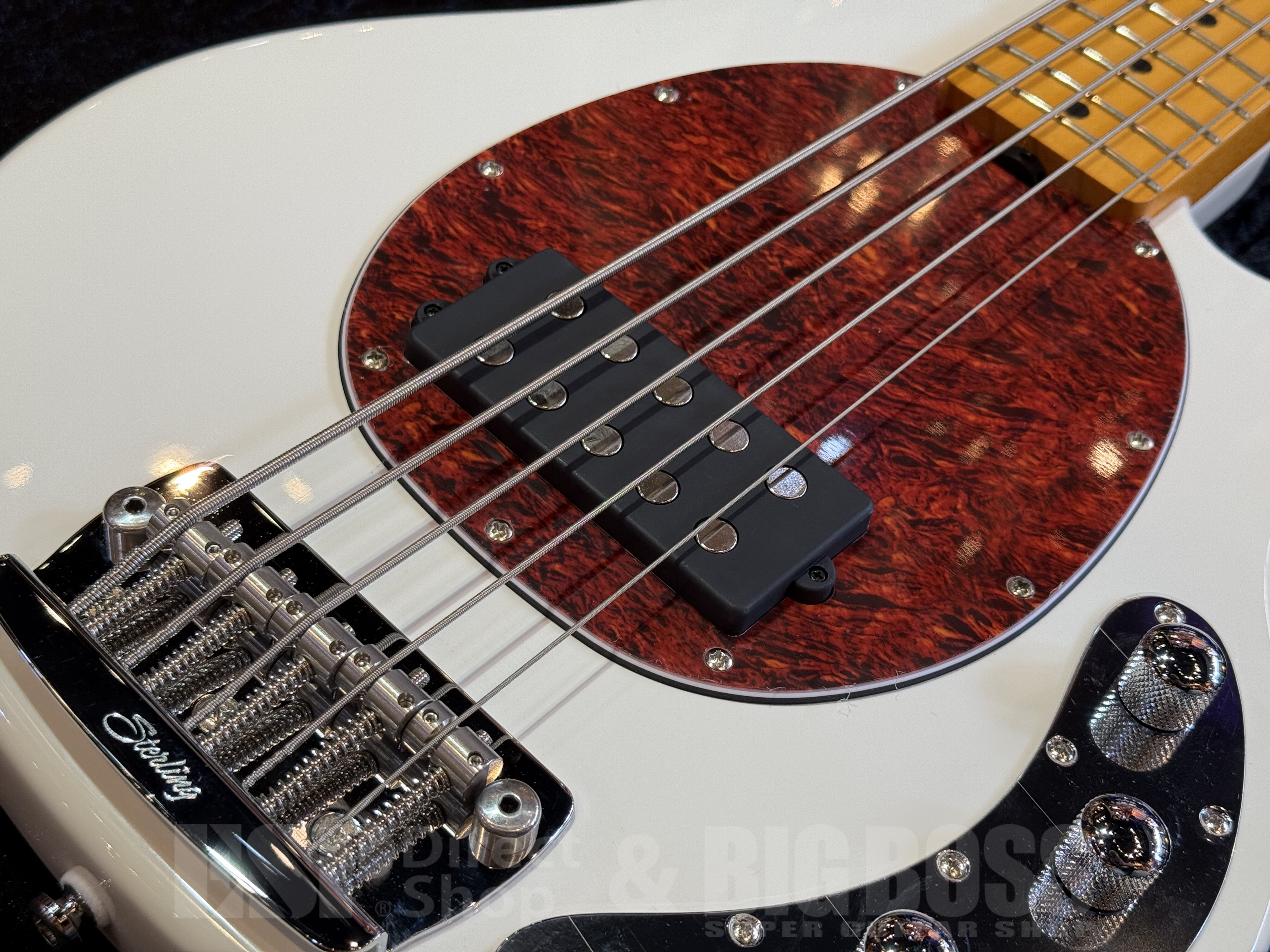 【即納可能】 Sterling by MUSIC MAN (スターリンバイミュージックマン) RAY25CA【Olympic White】 福岡店