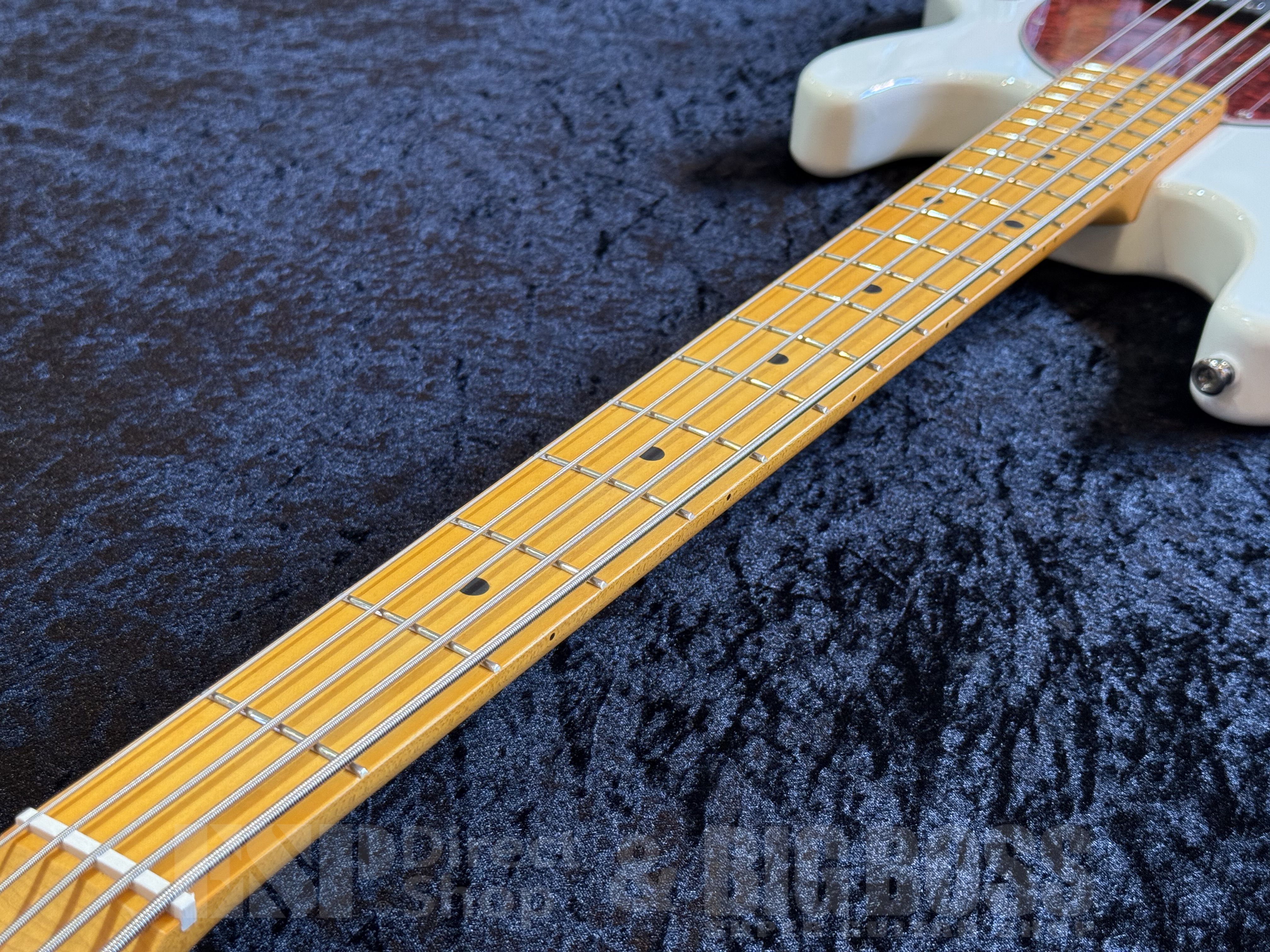 vegamike様 即納可能】 Sterling by MUSIC MAN （スターリンバイ