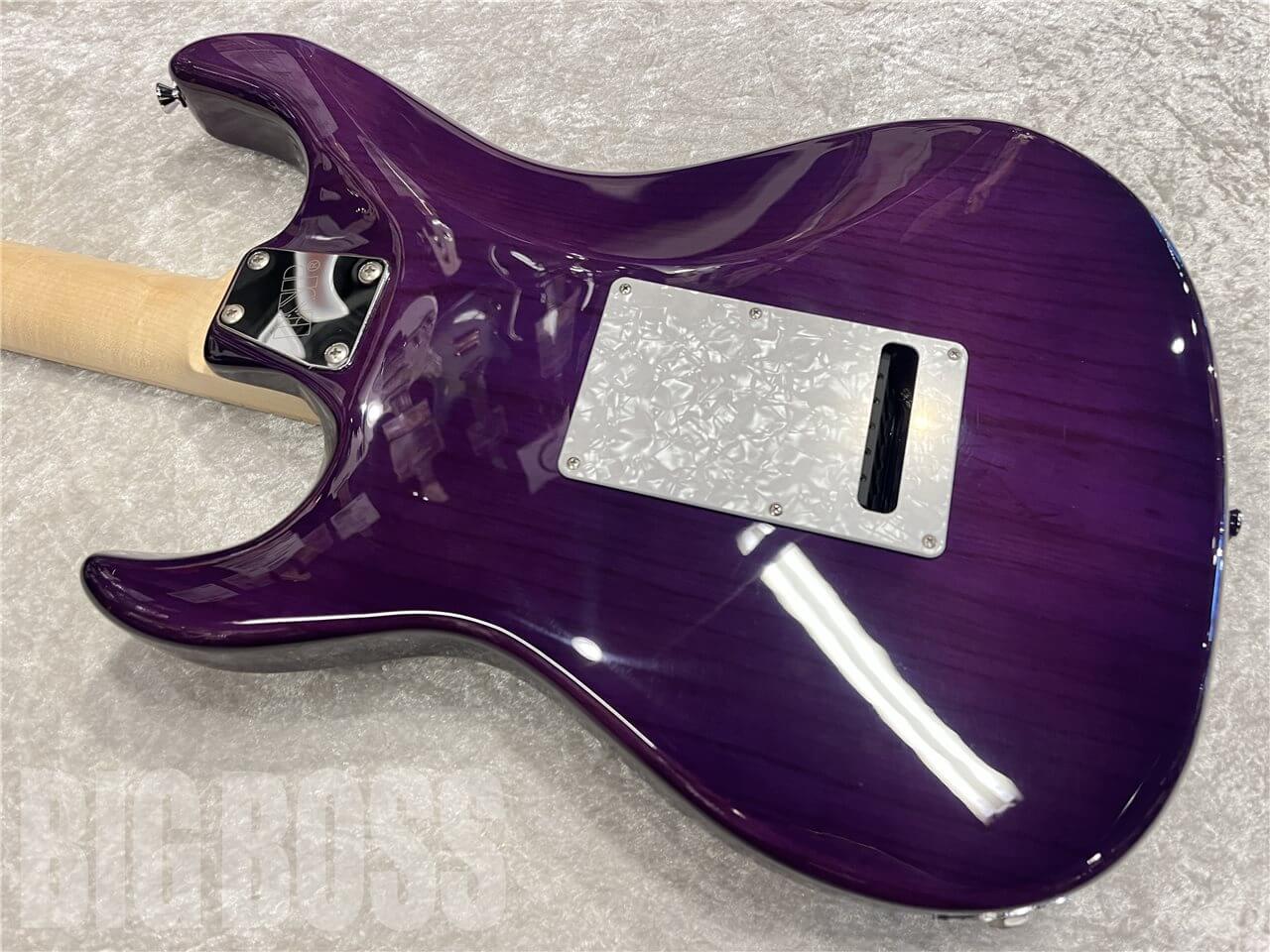 【即納可能】EDWARDS（エドワーズ）E-SNAPPER-AS/M（See Thru Purple）　名古屋店