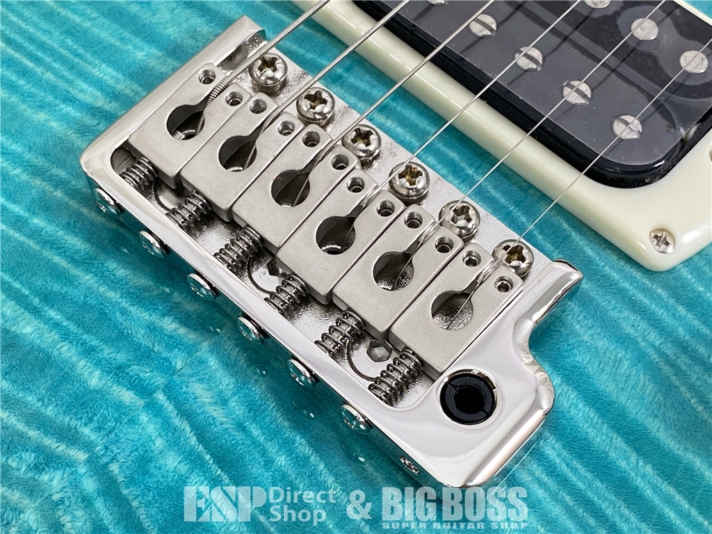 【即納可能】Paul Reed Smith(PRS/ポールリードスミス) SE Custom 24 (Sapphire) お茶の水駅前店(東京) - 5