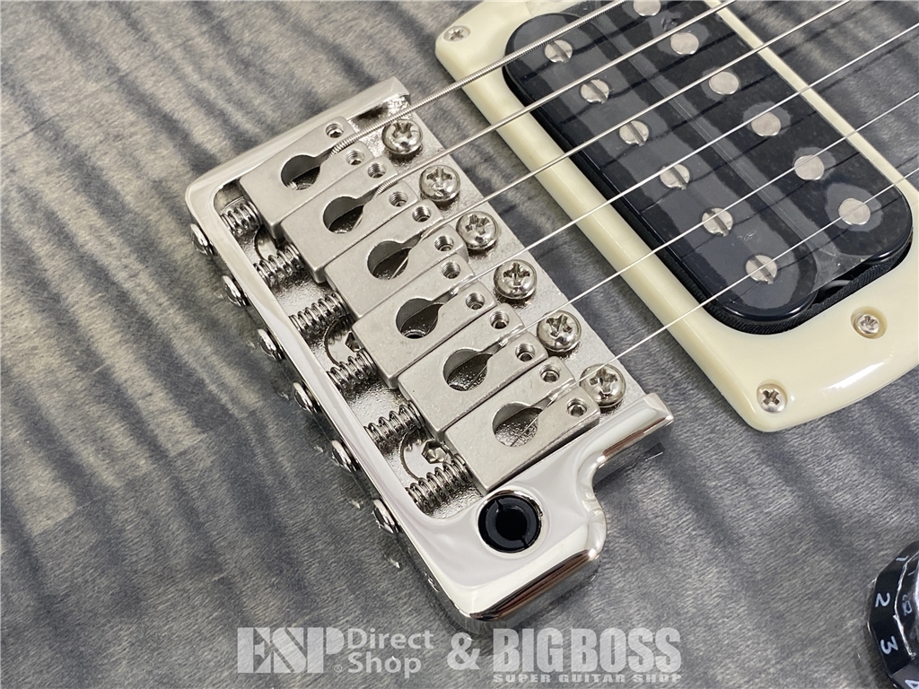 【即納可能】Paul Reed Smith(PRS/ポールリードスミス) 2026 SE Custom 24 (Faded Grey Black Burst) お茶の水駅前店(東京) - 5