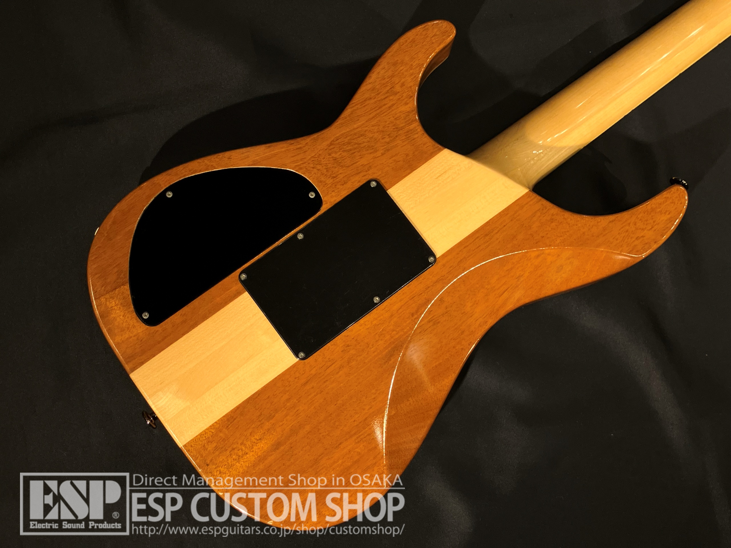 【即納可能/中古品】ESP (イーエスピー) Custom Model HORIZON Type 大阪店