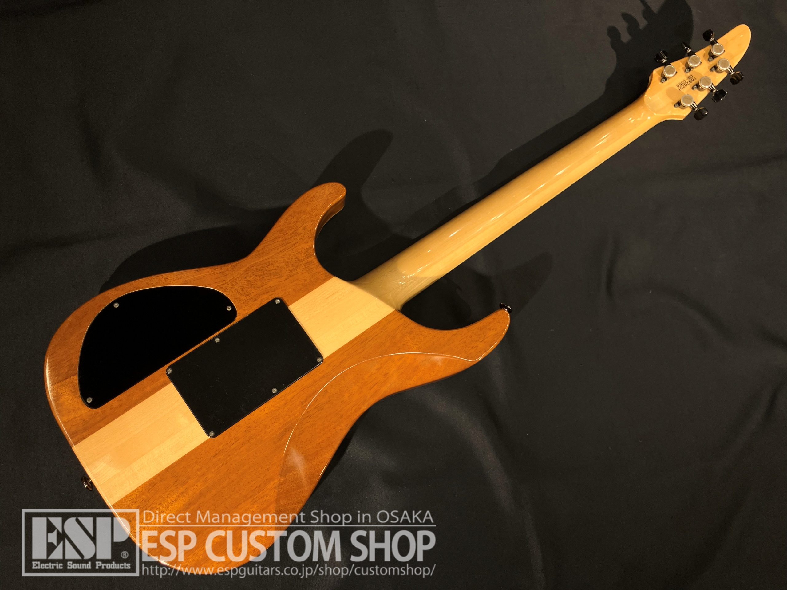 【即納可能/中古品】ESP (イーエスピー) Custom Model HORIZON Type 大阪店