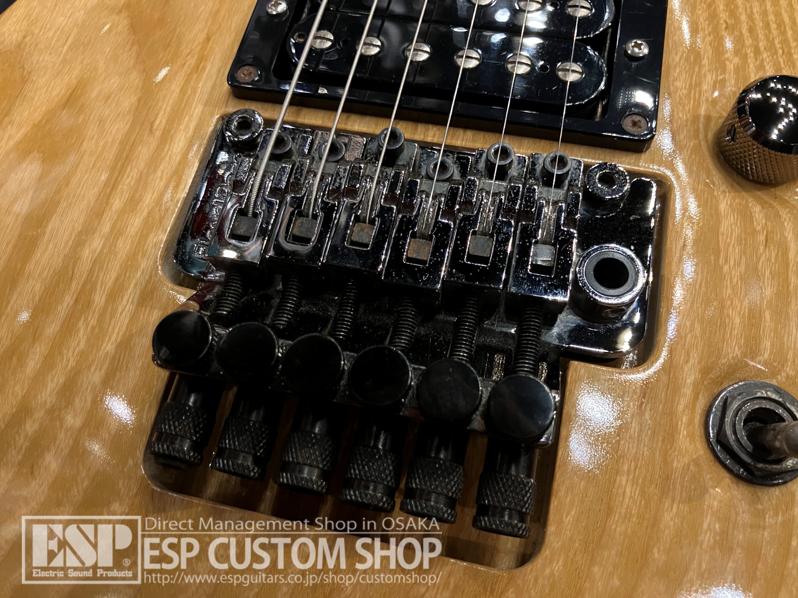 【即納可能/中古品】ESP (イーエスピー) Custom Model HORIZON Type 大阪店