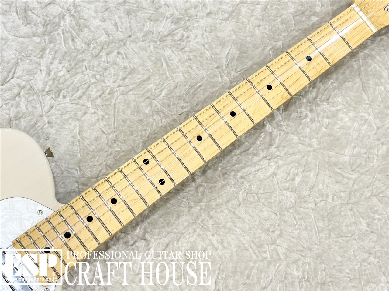 【即納可能】Tokai ATE-101-THN / US Blonde 渋谷店 - 3