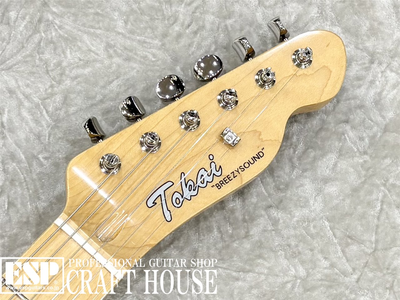 【即納可能】Tokai ATE-101-THN / US Blonde 渋谷店 - 4